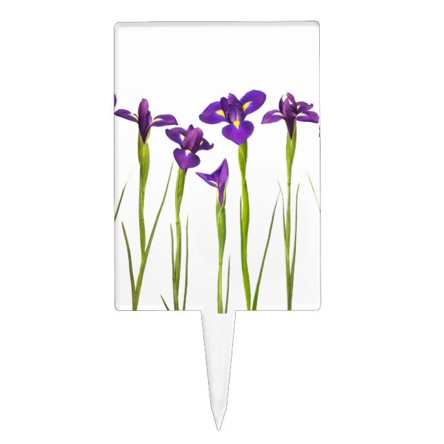 Purple Irises - Iris Flower Customized Template Cake Topper (Front)