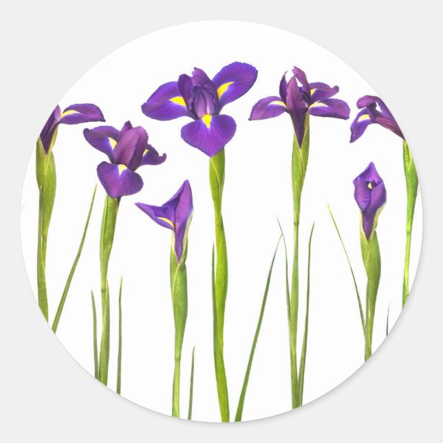 Purple Irises - Iris Flower Customized Template Classic Round Sticker (Front)