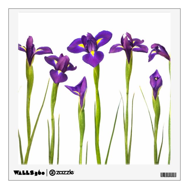 Purple Irises - Iris Flower Customized Template Wall Sticker (Front)
