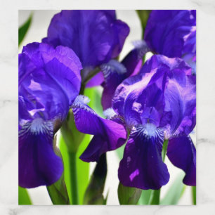 Purple Irises Iris Flower Envelope Liner