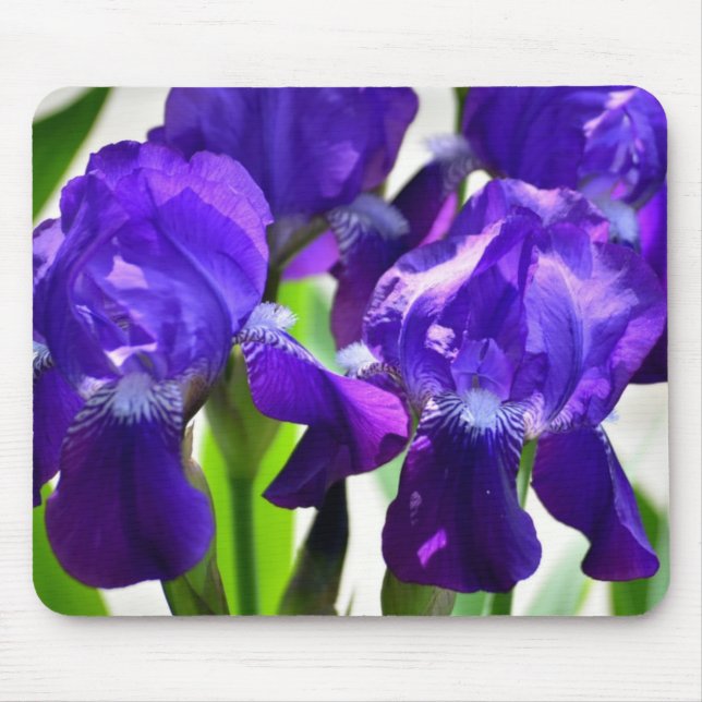 Purple Irises Iris Flower Mouse Pad (Front)