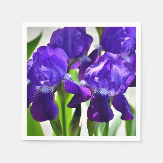 Purple Irises Iris Flower Napkins (Front)