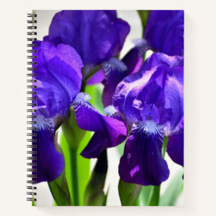 Purple Irises Iris Flower Notebook