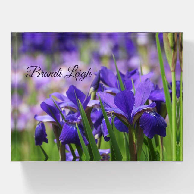 Purple Irises, Mom,  Customize Paperweight (Front)