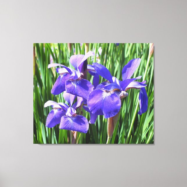 Purple Irises On Canvas Print (Front)