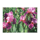 Purple Irises Spring Floral Canvas Print