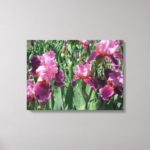 Purple Irises Spring Floral Canvas Print