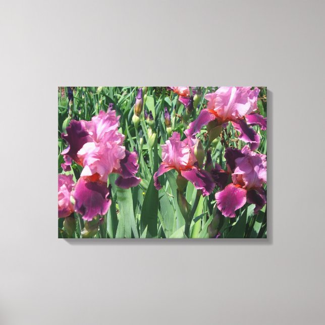 Purple Irises Spring Floral Canvas Print (Front)