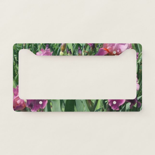Purple Irises Spring Floral License Plate Frame (Front)
