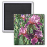 Purple Irises Spring Floral Magnet