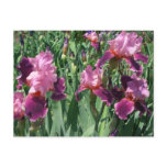 Purple Irises Spring Floral Postcard