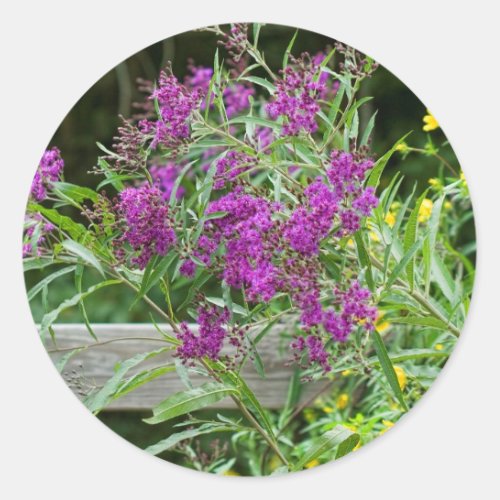 Purple Ironweed Wildflowers _ Vernonia gigantea Classic Round Sticker