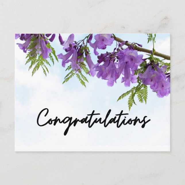 Purple Jacaranda Flowers Congratulations Postcard (Front)