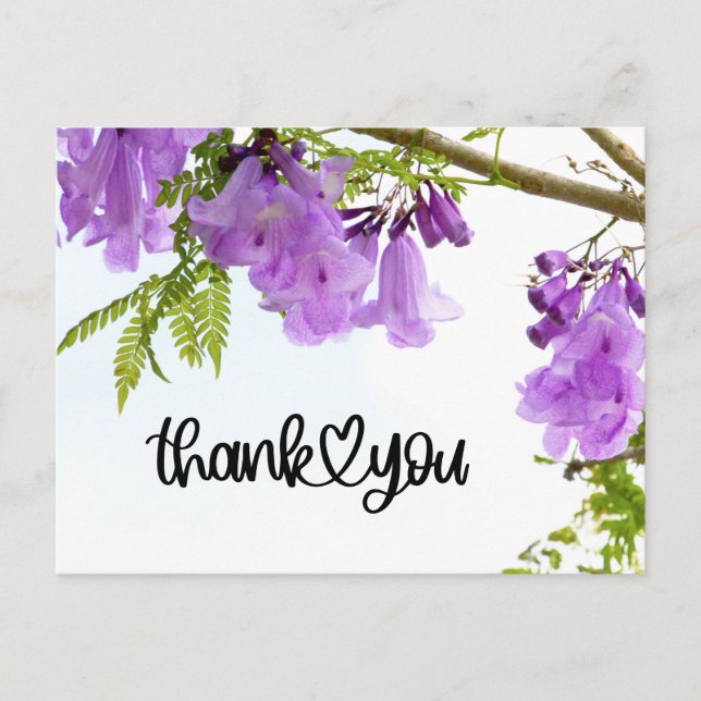 Purple Jacaranda Flowers Thank you  Postcard (Front)