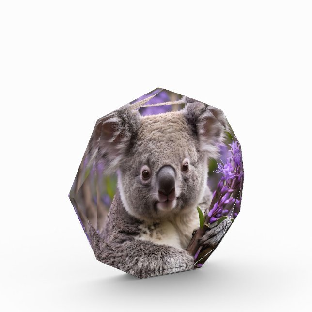 Purple Jacaranda Koala Bear, Photo Block (Left)