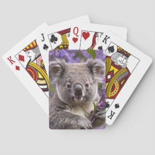 Purple Jacaranda Koala Bear, Poker Cards