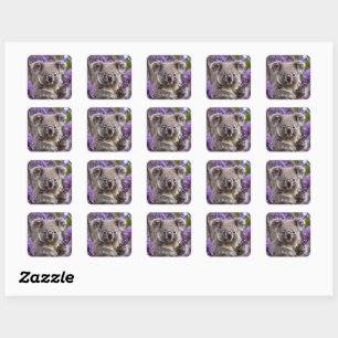 Purple Jacaranda Koala Bear, Square Sticker