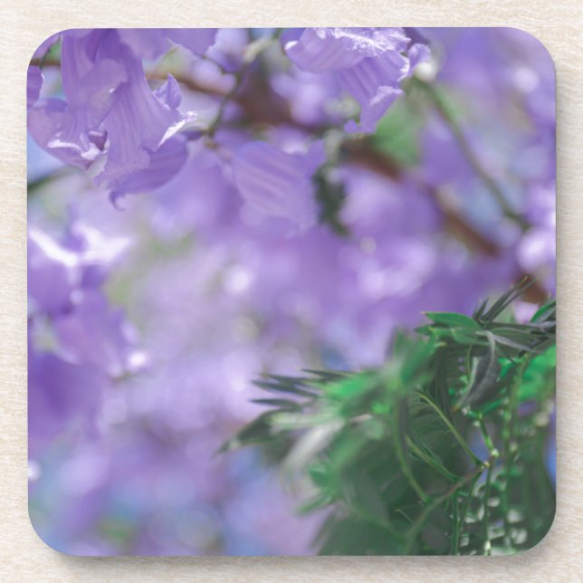 Purple Jacaranda Tree Flowers Beverage Coaster (Front)