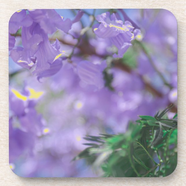 Purple Jacaranda Tree Flowers Beverage Coaster (Front)