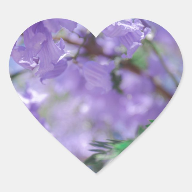 Purple Jacaranda Tree Flowers Heart Sticker (Front)