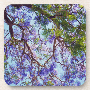 Purple Jacaranda Tree Oil Paint, Beverage Coaster