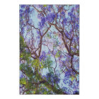 Purple Jacaranda Tree Oil Painting,