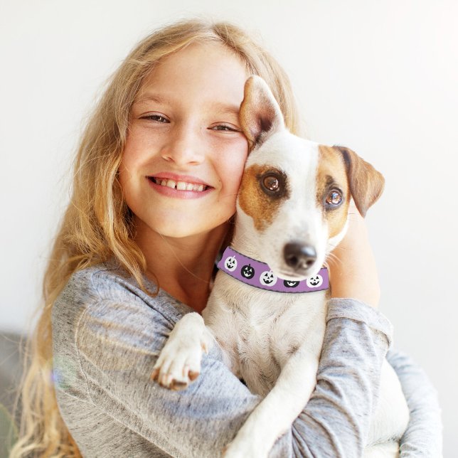 Purple Jack O Lantern Pumpkin Pattern Halloween Pet Collar (Creator Uploaded)