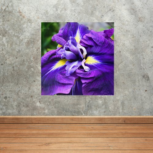 Purple Japanese Iris Bloom Floral Acrylic Print