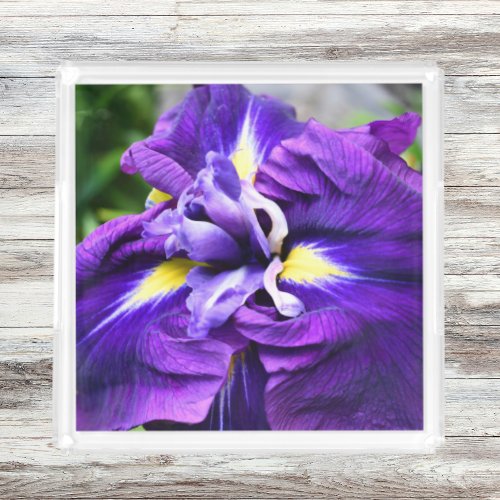 Purple Japanese Iris Bloom Floral Acrylic Tray