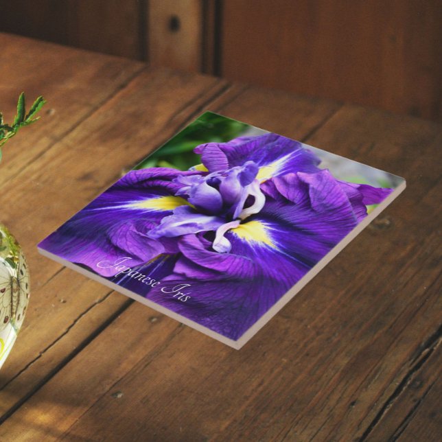Purple Japanese Iris Bloom Floral Ceramic Tile (In Situ)