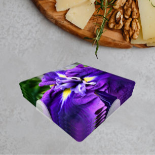 Purple Japanese Iris Bloom Floral Coaster Set