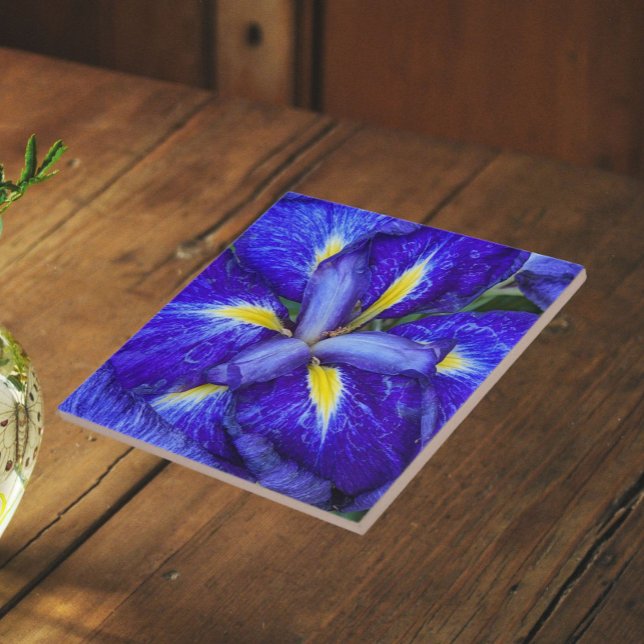Purple Japanese Iris Floral Ceramic Tile (In Situ)