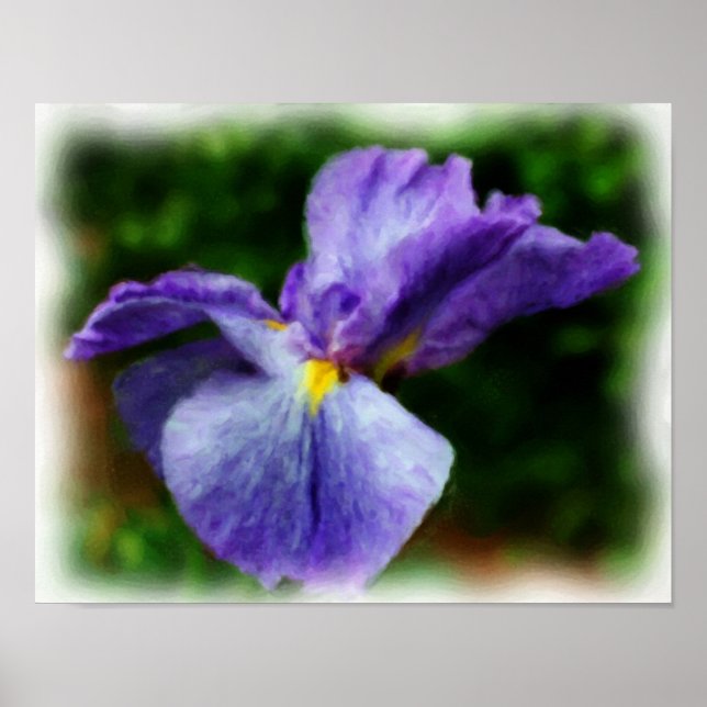 Purple Japanese Iris Flower Art Photo Painting Poster (Front)