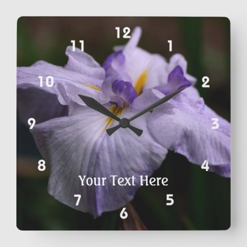 Purple Japanese Iris Flower Square Wall Clock