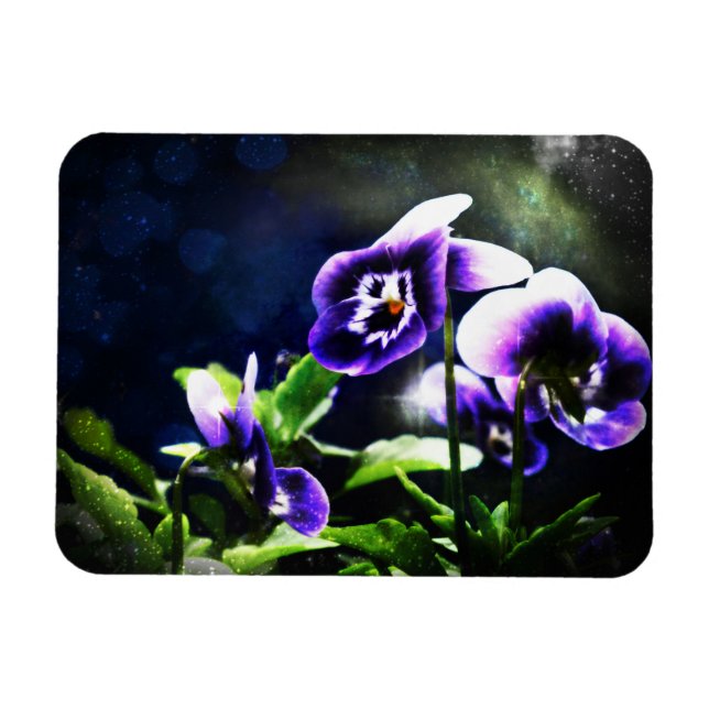 Purple Johnny Jump Ups and Stars Magnet (Horizontal)