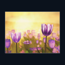 Purple Jubilee Postcard