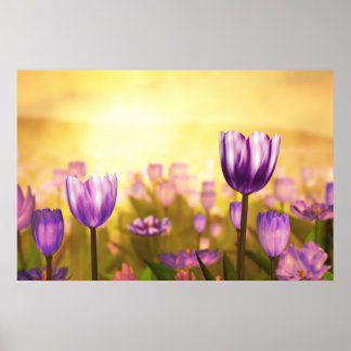 Purple Jubilee Print