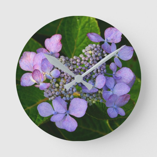 Purple Lacecap Hydrangea Round Clock (Front)