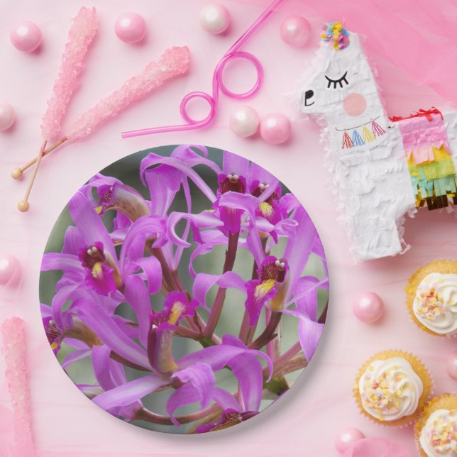 Purple Laelia Orchids Floral Paper Plates (Party)