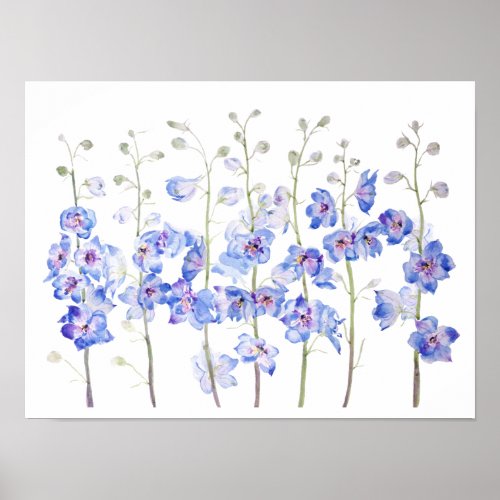 purple larkspur delphinium field watercolor  poster