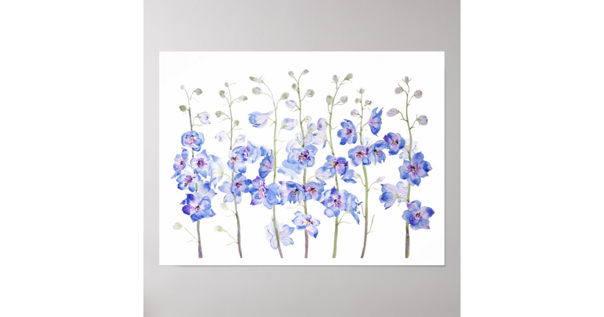 purple larkspur delphinium field watercolor poster | Zazzle