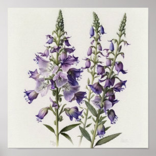 Purple Larkspur Flower Art Print Poster