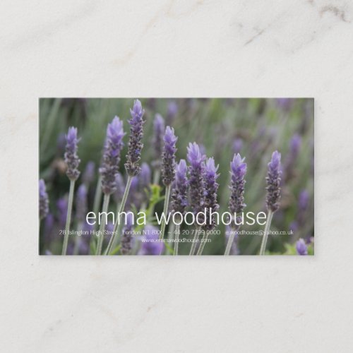 Purple Lavendar Business Card Templates