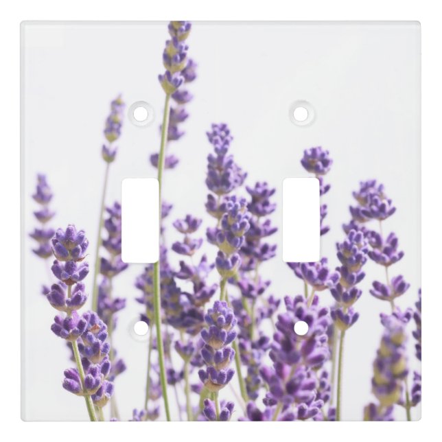 Purple Lavender #1 #decor #art Light Switch Cover (Front)