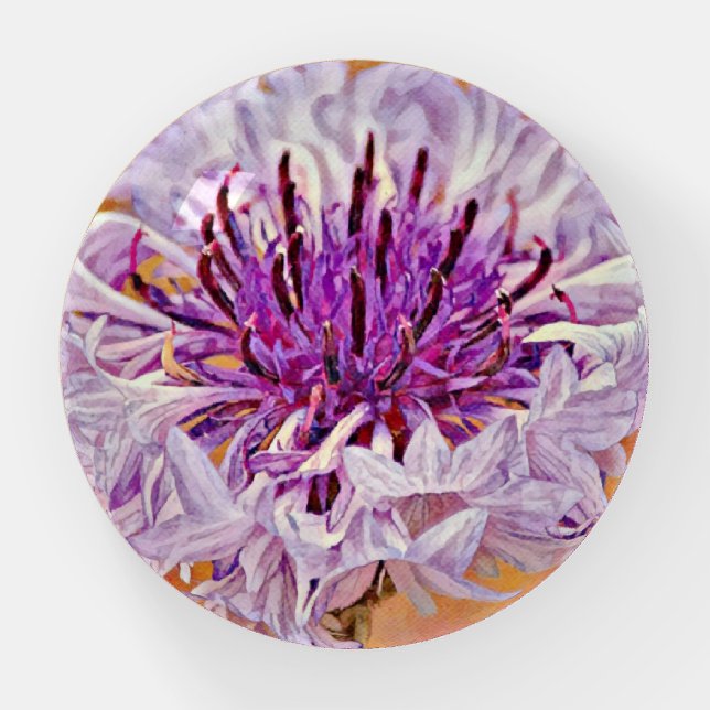Purple Lavender Corn Flower Art Paperweight  (Front)