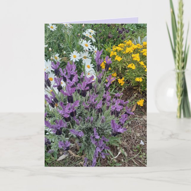 Purple Lavender & Daisy Flower Floral Greetings Card (Front)