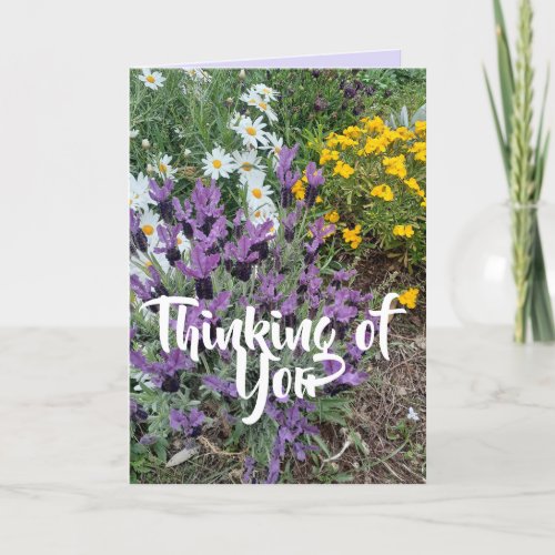 Purple Lavender Daisy Flower Floral Thinking You Card