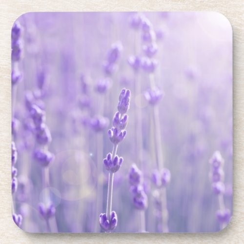 Purple Lavender Elegant Floral  Beverage Coaster