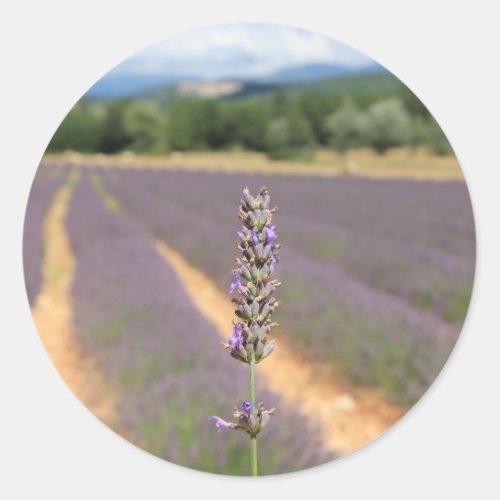 Purple lavender fields near Sault Classic Round Sticker