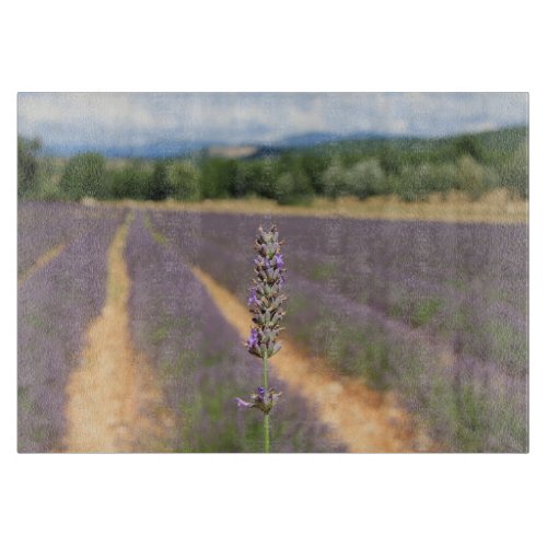 Purple lavender fields near Sault Cutting Board